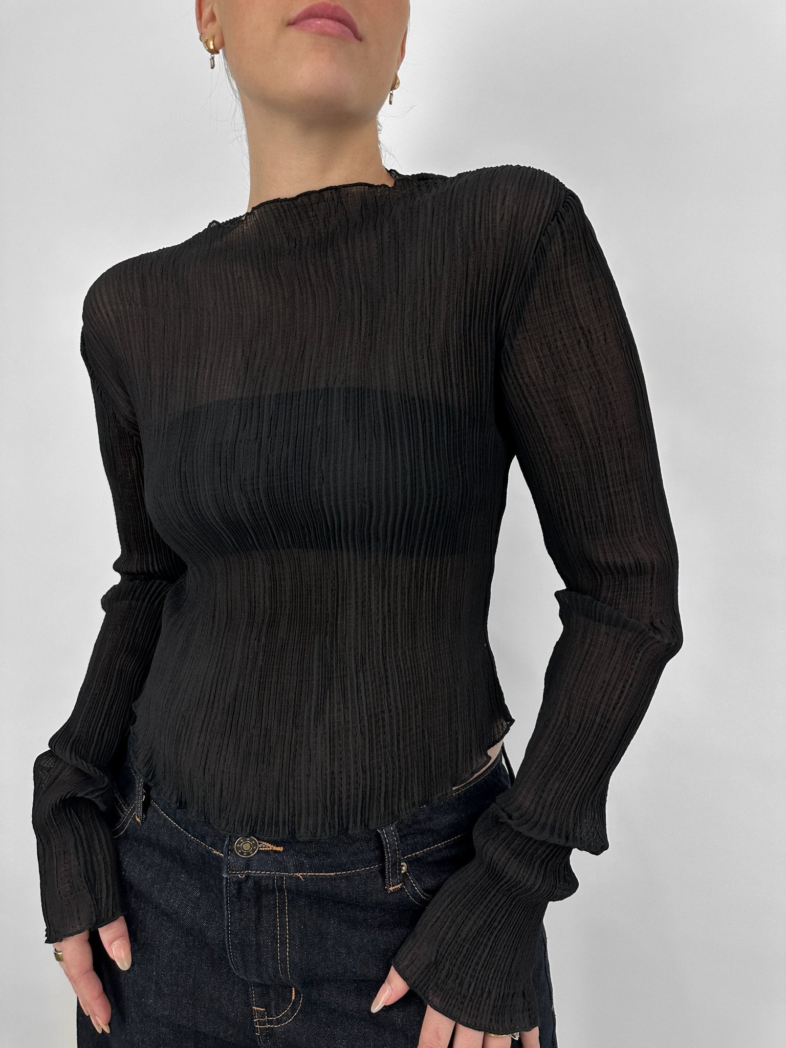 Sheer Plissé Long Sleeve Top - Vamp Official